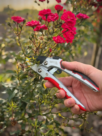 FOARFECĂ DE GRĂDINĂ CU CLICHET 190MM