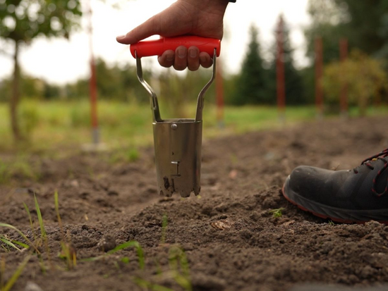 PLANTATOR BULBI, CAP OȚEL INOXIDABIL