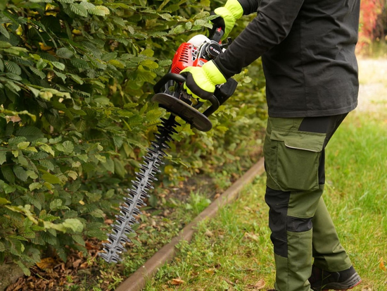 FOARFECĂ PE BENZINĂ PENTRU GARD VIU