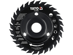 PANZĂ RASPEL PENTRU LEMN 125MM