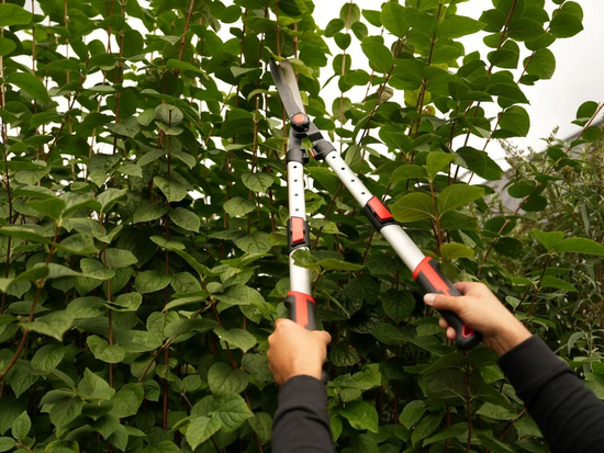 FOARFECĂ TELESCOPICĂ PENTRU GARD VIU CU LAMĂ ONDULATĂ, MÂNER ALUMINIU