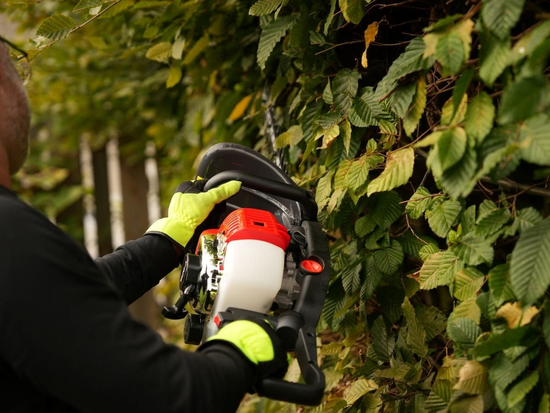 FOARFECĂ PE BENZINĂ PENTRU GARD VIU
