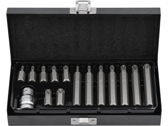 SET BIȚI TORX 15 PIESE