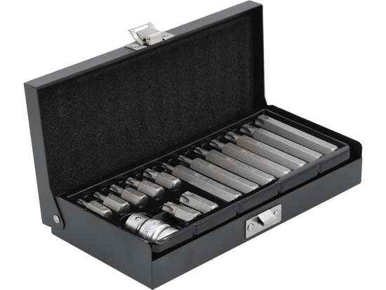 SET BIȚI TORX 15 PIESE