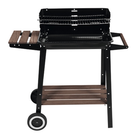 GRATAR CARBUNE CU RAFT, 48X28CM