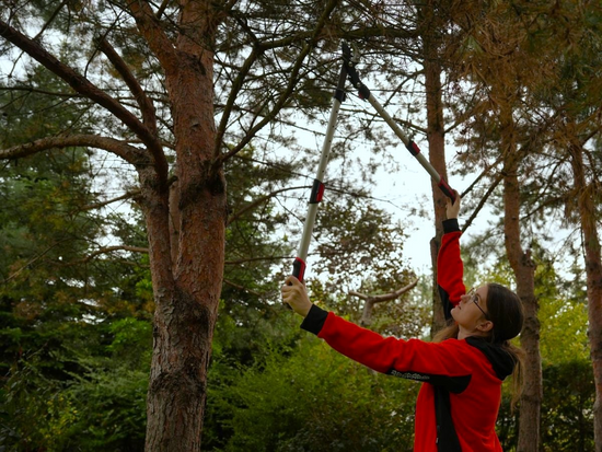 FOARFECĂ TELESCOPICĂ PT CRENGI, MÂNER ALUMINIU