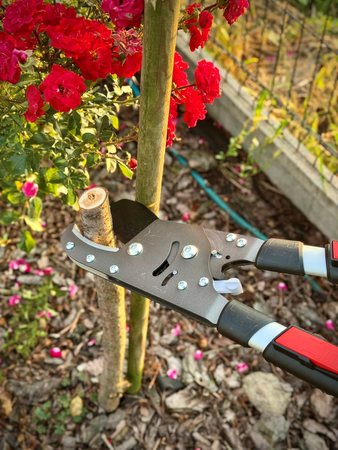 FOARFECĂ TELESCOPICĂ CU CLICHET PENTRU CRENGI, MÂNER ALUMINIU