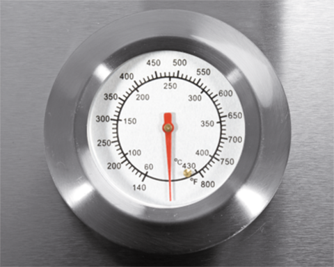 GRĂTAR OTAKE 2 ÎN 1, GAZ + CĂRBUNI, OȚEL INOXIDABIL, 8,2KW