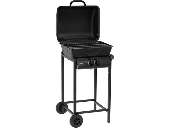 GRATAR PE GAZ BAVEN,2 ARZATOARE,5.5 KW