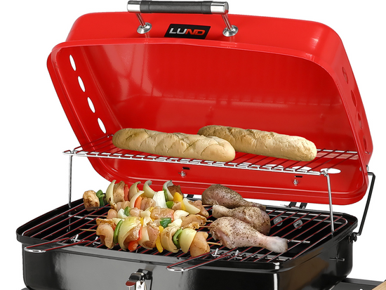 GRĂTAR CU CĂRBUNI, PLIABIL, 45X33,5CM