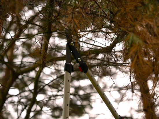 FOARFECĂ TELESCOPICĂ PT CRENGI, MÂNER ALUMINIU