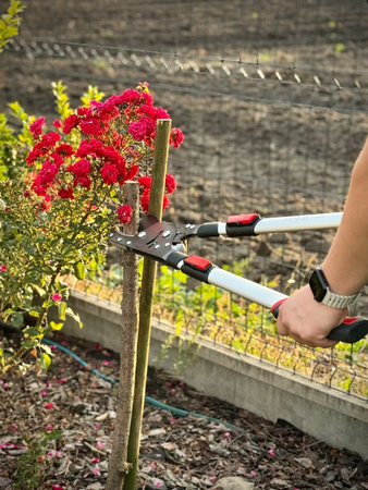 FOARFECĂ TELESCOPICĂ CU CLICHET PENTRU CRENGI, MÂNER ALUMINIU