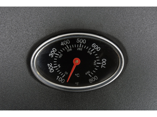 GRĂTAR GAZ BAVEN 2+1, 8KW