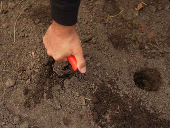 PLANTATOR BULBI, CAP OȚEL INOXIDABIL