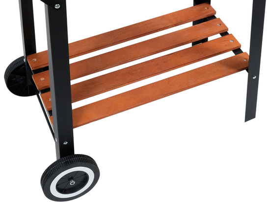 GRATAR CARBUNE CU RAFT, 48X28CM