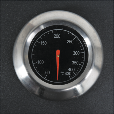 GRĂTAR 2-ÎN-1, GAZ + CĂRBUNI TORNE , 8,6 KW