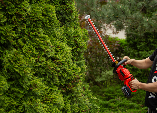 FOARFECĂ GARD VIU 18V, 55 CM, FĂRĂ ACUMULATOR