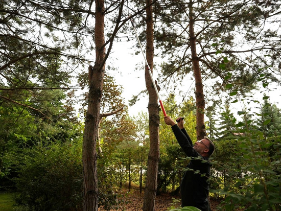 FOARFECĂ TELESCOPICĂ PENTRU CRENGI 1.8M, ALUMINIU