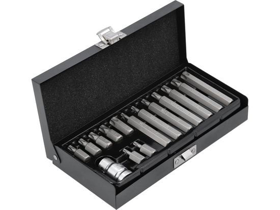 SET BIȚI TORX 15 PIESE T20-T55