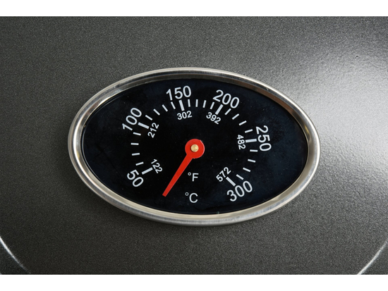 GRĂTAR ELECTRIC CU STAND 2000-2400W