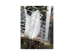 HUSĂ PREOTECȚIE ANTI-ÎNGHEȚ PLANȚE