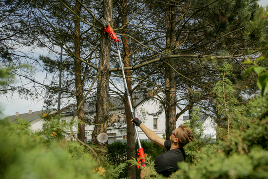 FIERĂSTRĂU ELECTRIC 710W, 25CM, TELESCOPIC