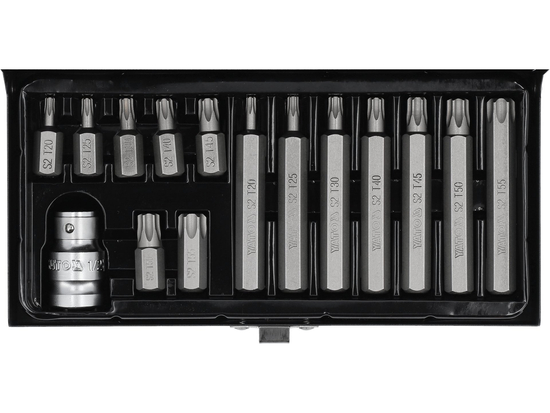 SET BIȚI TORX 15 PIESE