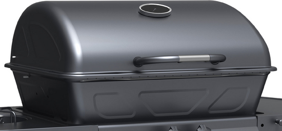 GRĂTAR GAZ BAVEN 2+1, 8KW