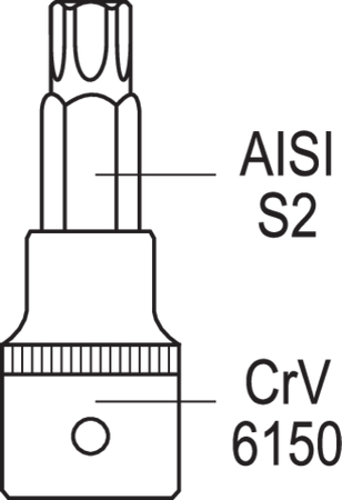 SET BIȚI TORX CANELATE 12 BUC