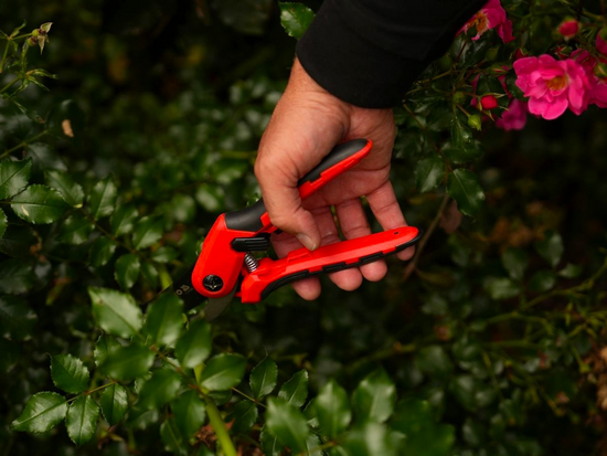 FOARFECĂ GRĂDINĂ TIP BY-PASS, 205MM