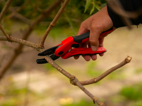 FOARFECĂ NICOVALĂ PT GRĂDINĂ 205MM