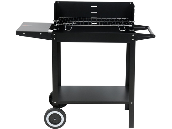 GRATAR CARBUNI 48X26,5CM