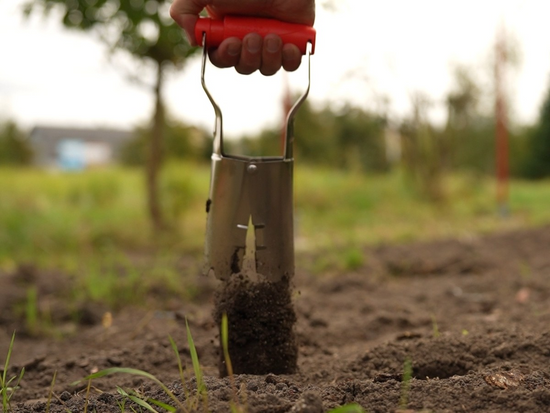 PLANTATOR BULBI, CAP OȚEL INOXIDABIL
