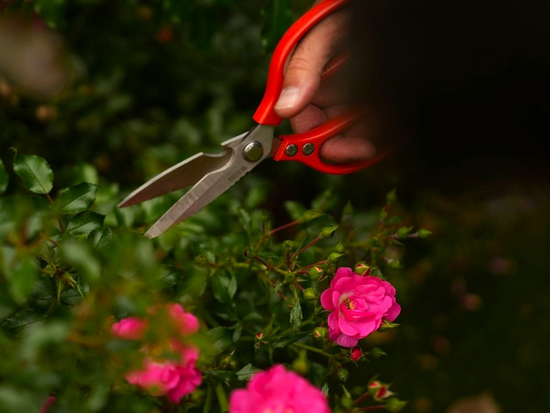 FOARFECĂ DE GRĂDINĂ 215MM, INOX